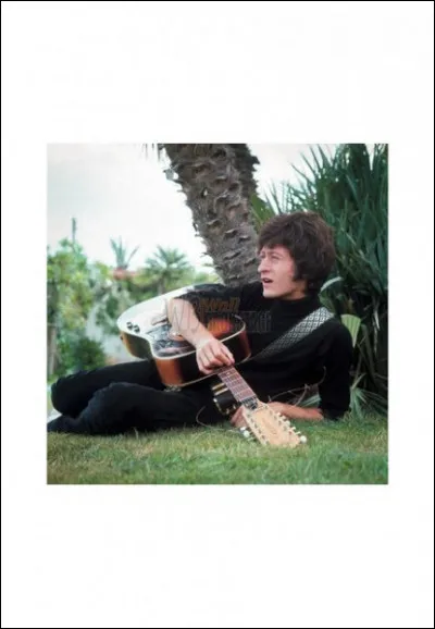 Michel Polnareff chantait ''Le Roi des fourmis''. Comme quatre de ces insectes, la fourmi fait partie des hyménoptères. Quel est l'intrus ?