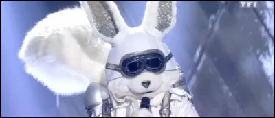 Qui est l'écureuil ?