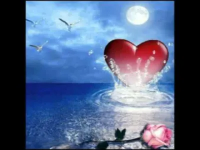 Qui est ton(ta) petit(e) ami(e) ?