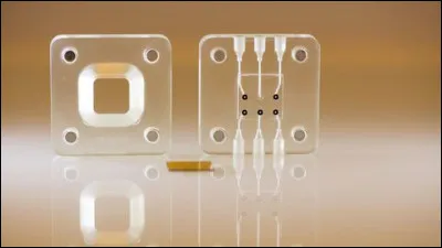 Cette puce microfluidique, associée à un lecteur, permet de diagnostiquer dans un temps record plus de 100 maladies comme la tuberculose ou le VIH. C'est devenu un "minilabo portable" qui fournit un diagnostic grâce à une seule goutte de fluide biologique.
Quel est ce fluide ?