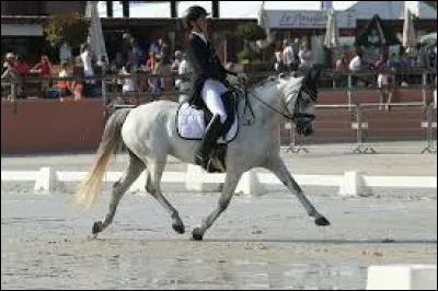 Quelle figure s'effectue sans changement de main ? (galop 3)