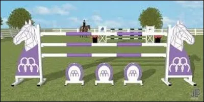 Comment se nomme cet obstacle de saut ? (galop 3)