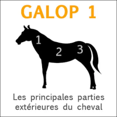Quelles sont les trois parties du corps du cheval ? (galop 2)