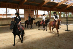 Quiz Galop 2