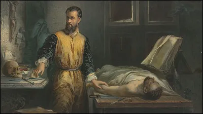 Quelle contribution le médecin du 16e siècle, André Vésale a-t-il apportée à la science ?