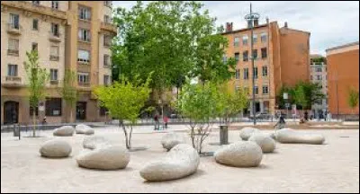 Dans quel arrondissement de Lyon trouve-t-on la place des Tapis ?