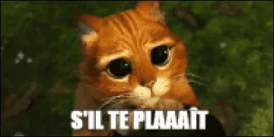 Quelle formulation préférez-vous ?