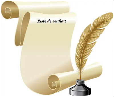 Que désirez-vous le plus parmi ces souhaits ?