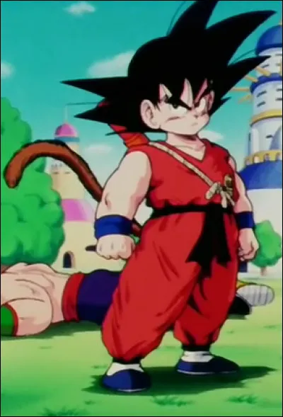 Qui est le rival de Goku lors de son apprentissage avec Tortue Géniale ?