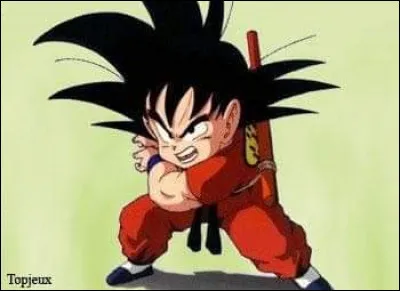 Combien de temps a mis Goku pour y parvenir ?