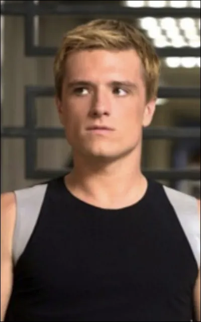 Qui est le fiancé de Katniss ?