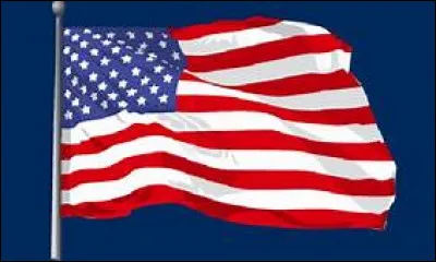 Le 3 novembre 2020, les Etats-Unis auront la possibilité d'élire un nouveau président : lors des dernières élections présidentielles des USA, quelle candidate était l'adversaire de Donald Trump ?