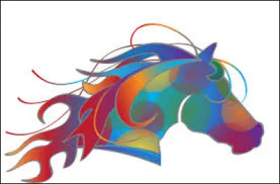 À quoi vous exercez-vous ?