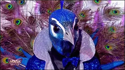 Qui était dans le paon ?