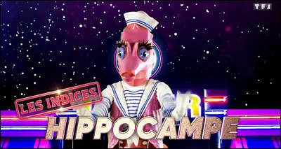 Qui était dans l'hippocampe ?