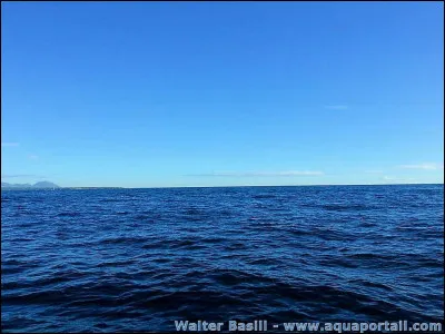 Laquelle de ces couleurs n'est pas associée à une mer ?