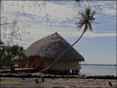 Quel est le nom de cette habitation traditionnelle polynésienne qui est construite en bambou et recouverte de feuilles de palmiers ?