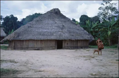 Quel est le nom de cette maison traditionnelle communautaire habitée par les Amérindiens d'Amérique du Sud, composée de matériaux biodégradables ?