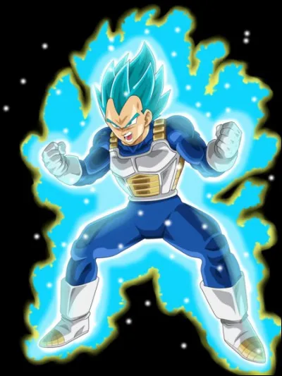 Qui fait partie de la famille de Vegeta ?