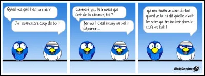 Dans quoi boit-on une très grosse soupe ?