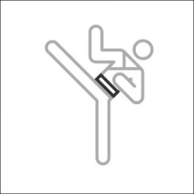 Quand le karaté deviendra-t-il un sport olympique ?