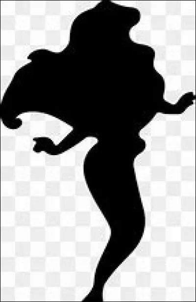 Et voici l'ombre de la princesse...