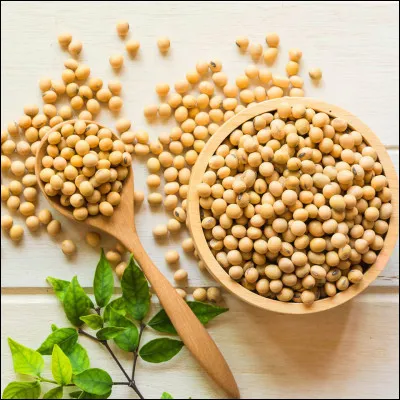 Quel est aliment favori des végétariens ?