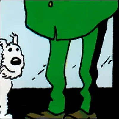 Quelle est la seule couverture où Tintin porte un pantalon vert ?
