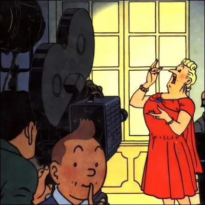 En plus des « Bijoux de la Castafiore », sur quelle autre couverture apparaît une caméra ?