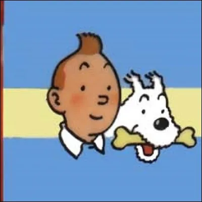 Quelle est la première couverture, dans l'ordre classique des albums édités par Casterman, à arborer le bandeau-titre coloré orné des têtes de Tintin et Milou (voir image) ?