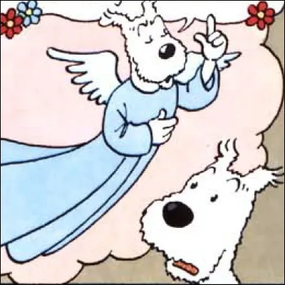 Parmi les 22 albums classiques, une seule couverture représente une scène qui n'apparaît pas à l'intérieur de l'album.
Les autres ne sont certes pas exactement identiques mais la scène apparaît dans les grandes lignes (comme quand Tintin arpente la galerie des sarcophages dans « Les Cigares du pharaon », aucun cigare ne jonche le sol). Quelle est donc la seule couverture à faire exception ?