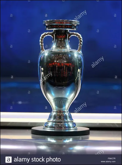 Qui est la personne qui a simul&eacute; pendant la finale de l'Euro 2016 ?