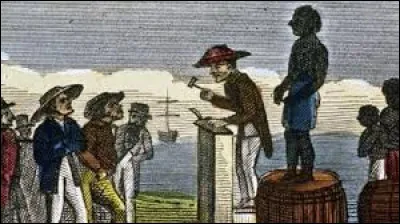 Contre quoi sont vendus les esclaves dans les colonies américaines ?