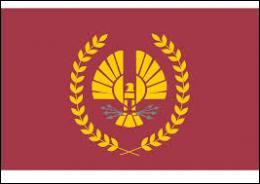 Quiz Hunger games