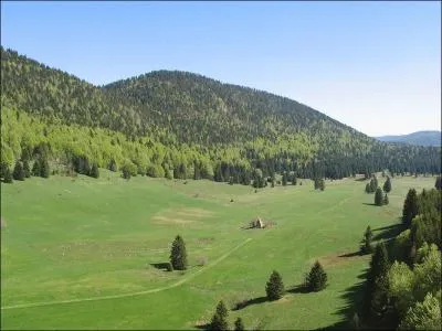 De quel dessin anim provient ce morceau 'Je ferais tout ce qu'y ait en mon pouvoir Je donnerais tout ce que j'ai Mais j'ignore comment trouver le bon chemin '