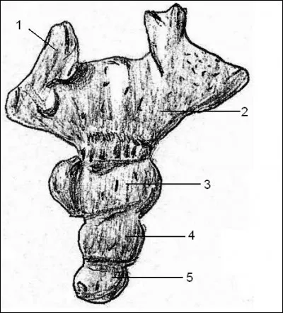 Quelle voiture a été la plus produite au monde ?