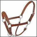 Qu'est-ce que c'est ?