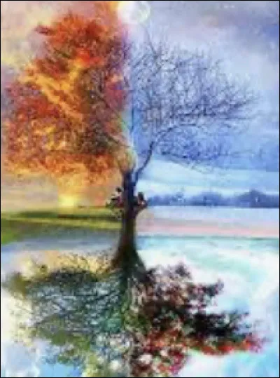 Quelle saison préfères-tu ?