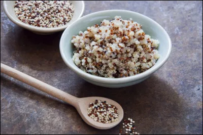 Nous apercevons ici du ...