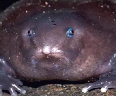 Tu apprends que quelqu'un veut te tuer...