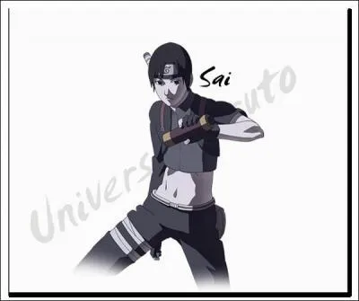 Quelle est la particularit de Sai ?