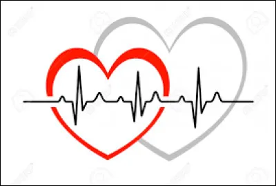 Quel personnage ne meurt pas dans les deux premières saisons ?