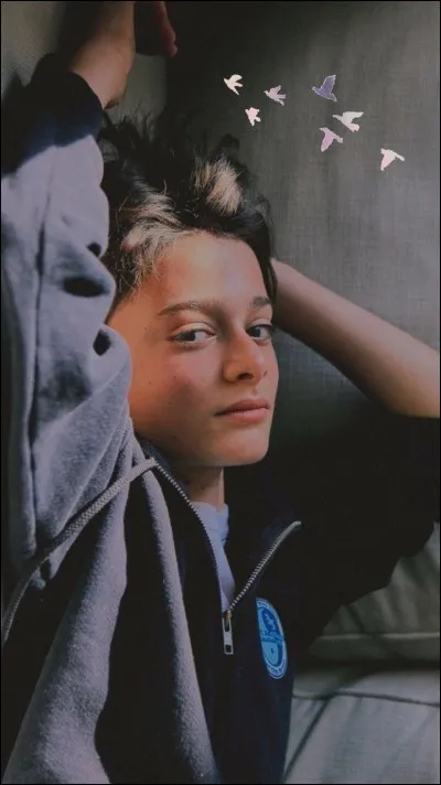 Quel rôle jouait-il dans la série Stranger Things ?