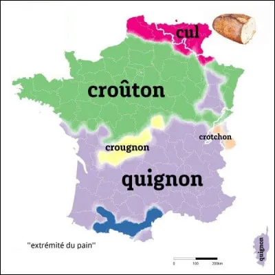 Comment désigne-t-on les extrémités du pain dans la région colorée en bleue ?