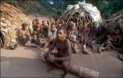 Qui sont les nomades de petites tailles, disséminés le long de l'équateur dans les états d'Afrique centrale qui vivent de la chasse, de la pêche et de la récolte du miel ?