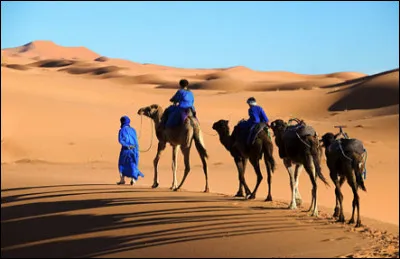 Qui sont les nomades qui habitent au Sahara central, qui parlent le berbère et que l'on surnomme les "hommes bleus" ?