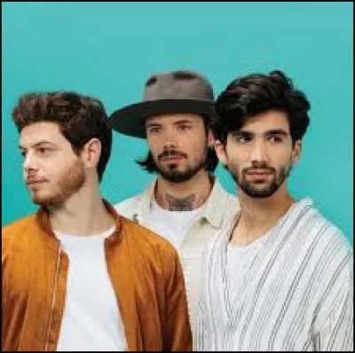 Dans ''Bonjour Merci'', le groupe Arcadian dit : 

''Combien de temps encore
Faudra-t-il agir comme ils aiment ?
Combien de bruit encore
Avant l'acouphène ? ''

Qu'est-ce qu'un acouphène ?