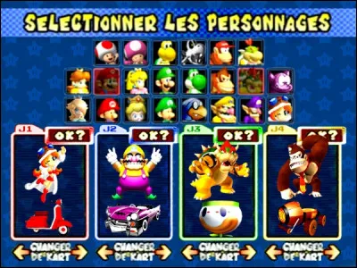 Quel duo joues-tu le plus sur Mario Kart Double Dash ?