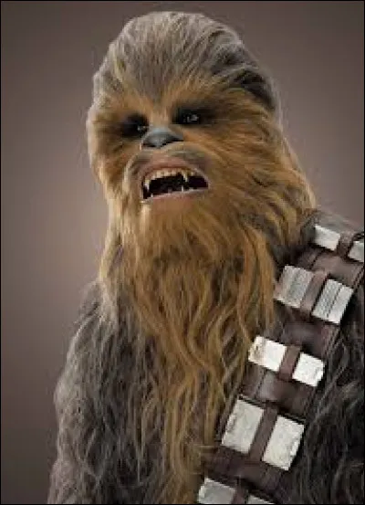 Ce personnage est...