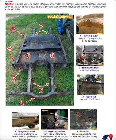 Comment appelle-t-on une succession de glandes et d'hormones ?